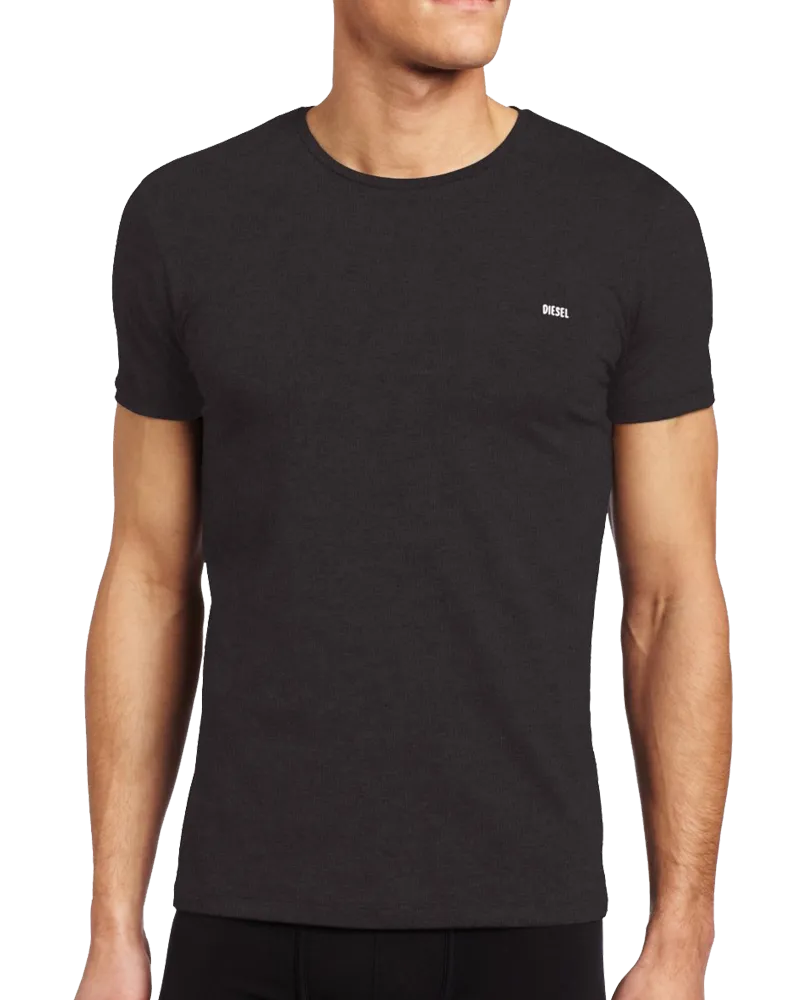 Diesel men's randal essentials logo t-shirt