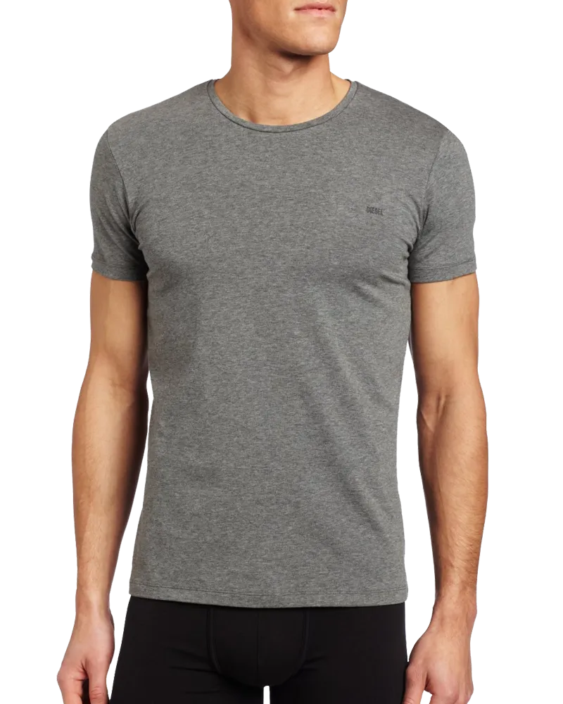 Diesel men's randal essentials logo t-shirt