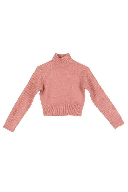 Lilou Crop mock neck sweater