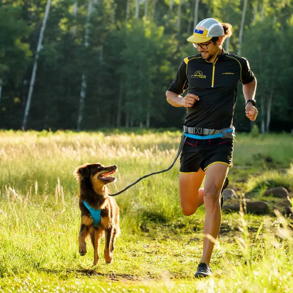 Ruffwear Trail Runner Hands-Free Dog Leash Belt System