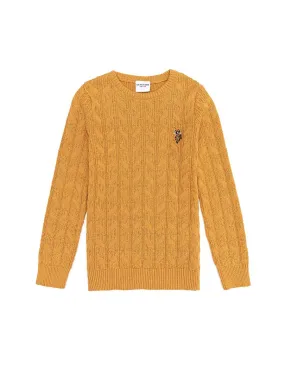 USPA Boys Jumper Round Neck Saffron VR043 USPJR340